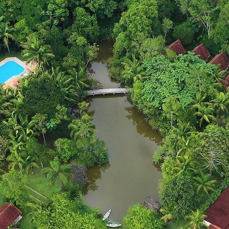 Pousada Salve Floresta Tapiraí Dış mekan fotoğraf