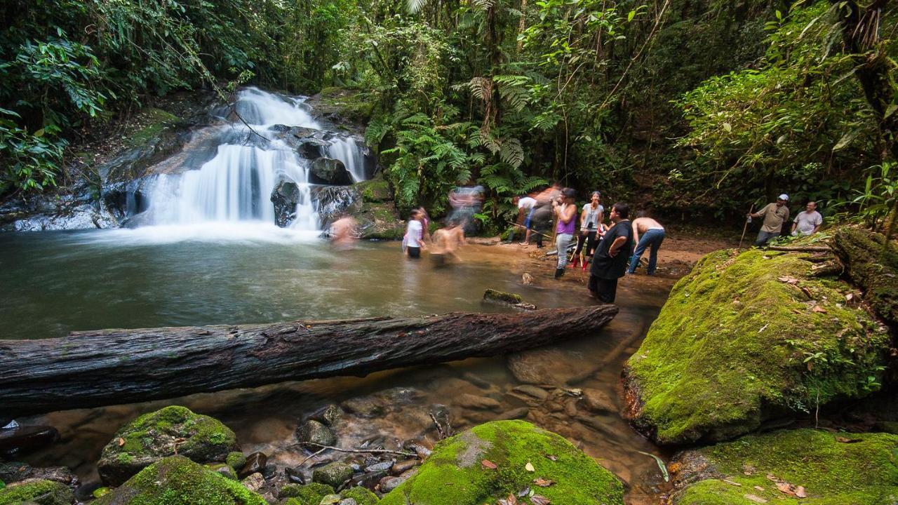 Pousada Salve Floresta Tapiraí Dış mekan fotoğraf