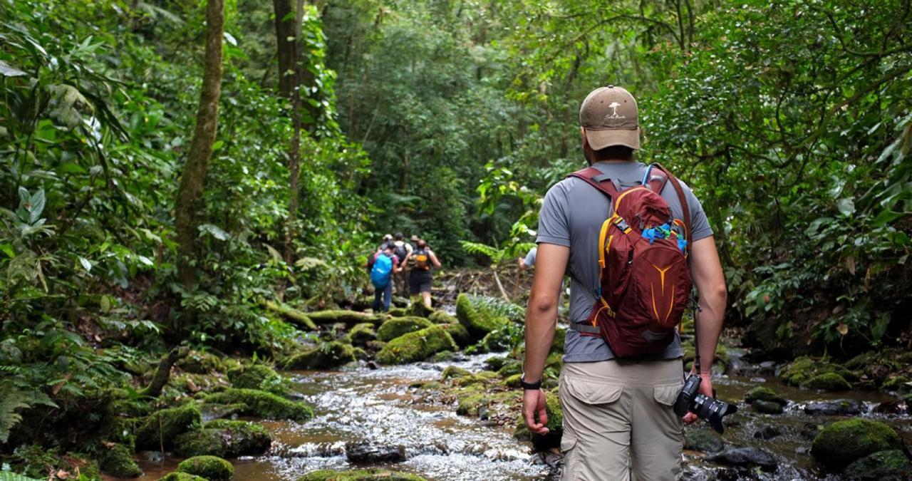 Pousada Salve Floresta Tapiraí Dış mekan fotoğraf