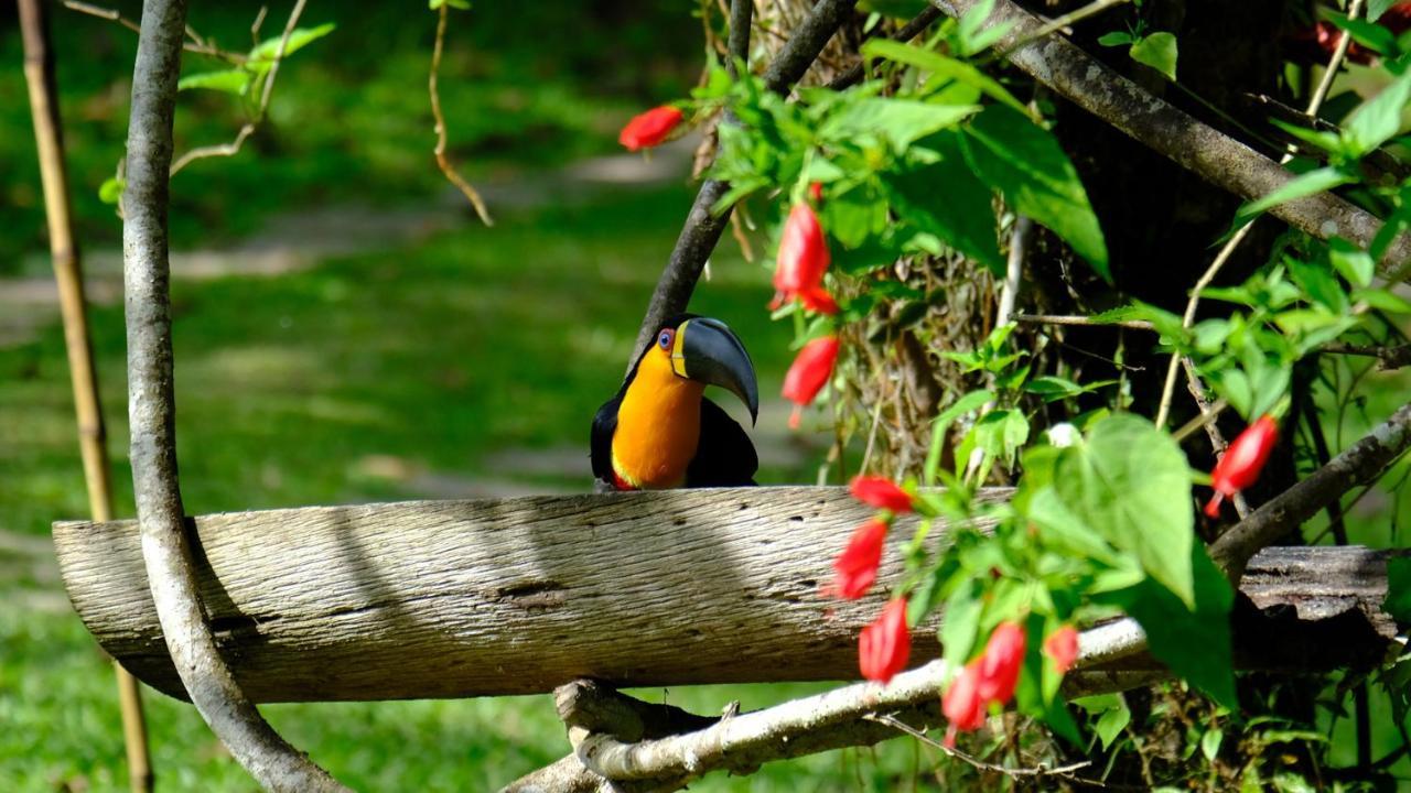 Pousada Salve Floresta Tapiraí Dış mekan fotoğraf