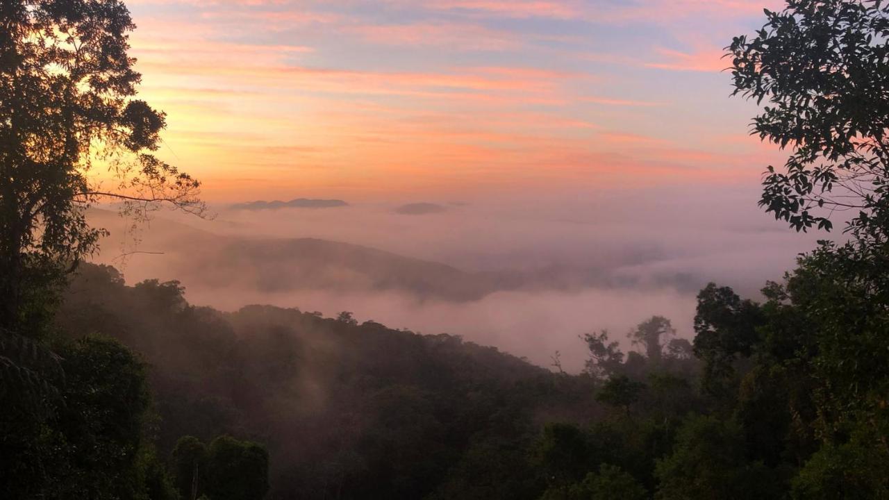 Pousada Salve Floresta Tapiraí Dış mekan fotoğraf