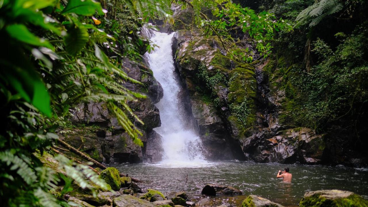 Pousada Salve Floresta Tapiraí Dış mekan fotoğraf